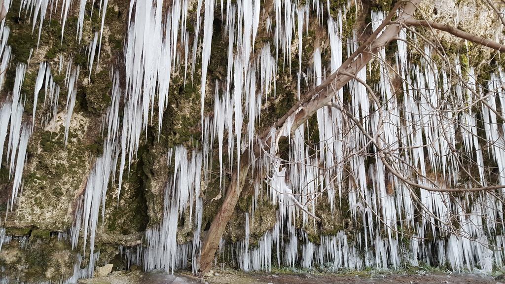 Отель The Wild Fig Шумен Экстерьер фото